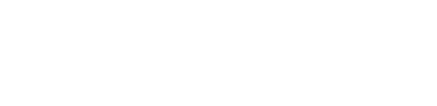 neumuenster.online | Sicher Dir Deinen Internetauftritt mit einer individuellen Neumünster-Domain